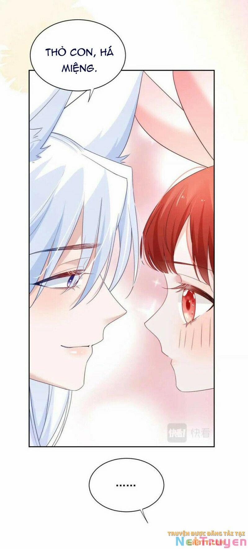 Nuôi Thỏ? Nam Chính Hắc Hóa Rồi! 59 trang 16