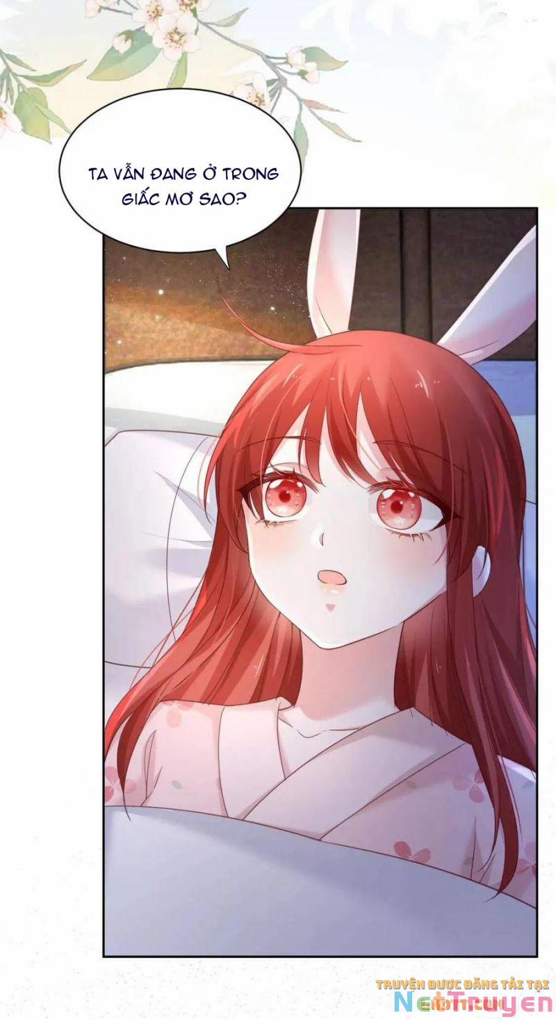 Nuôi Thỏ? Nam Chính Hắc Hóa Rồi! 59 trang 2