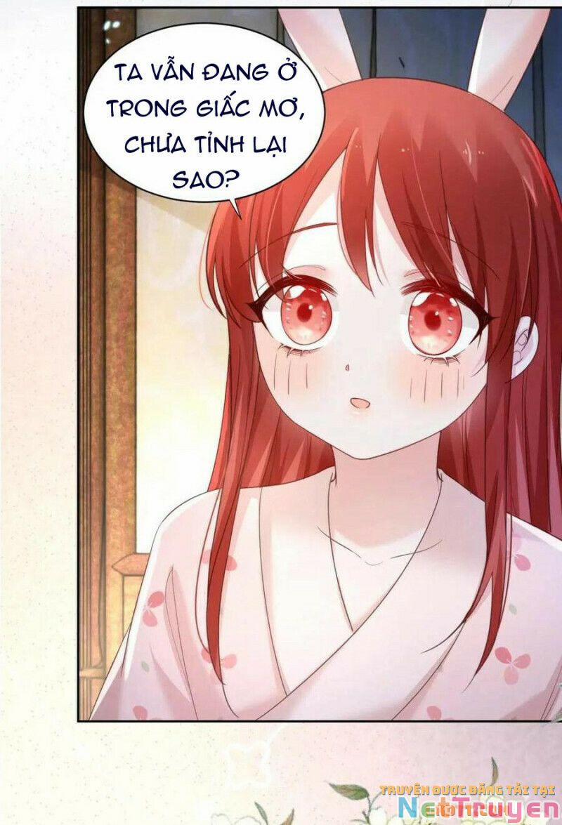 Nuôi Thỏ? Nam Chính Hắc Hóa Rồi! 59 trang 20