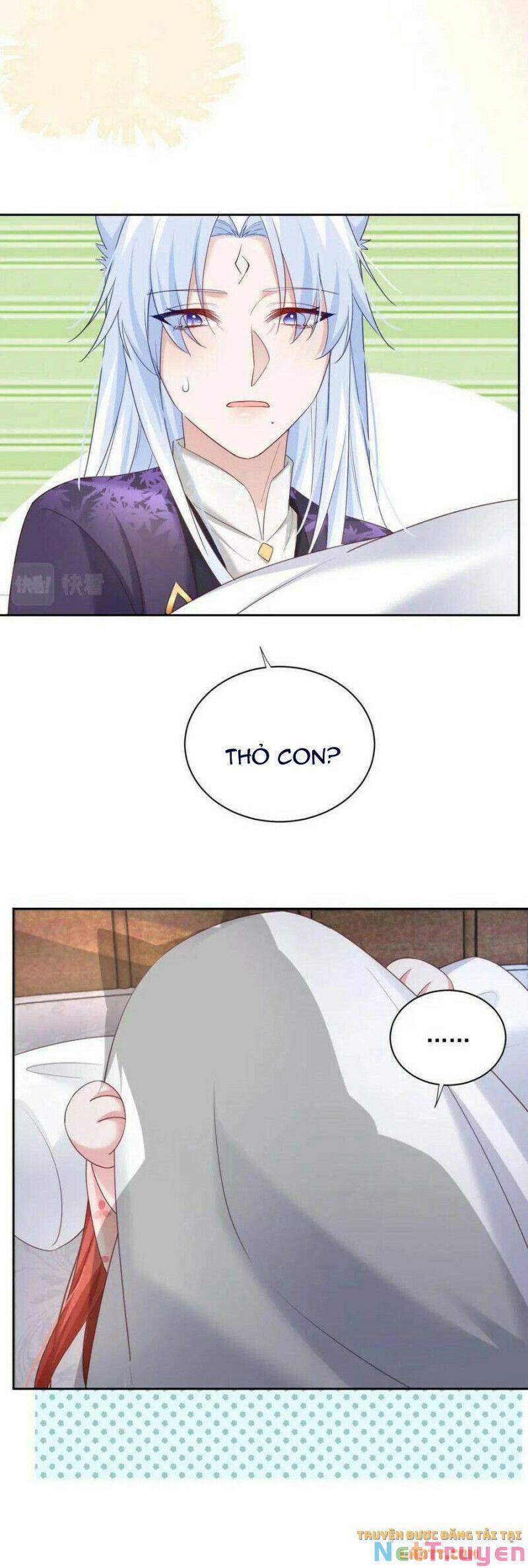 Nuôi Thỏ? Nam Chính Hắc Hóa Rồi! 59 trang 23