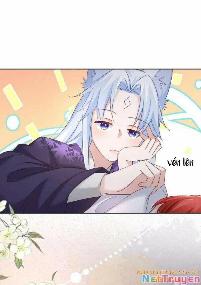 Nuôi Thỏ? Nam Chính Hắc Hóa Rồi! 59 trang 24