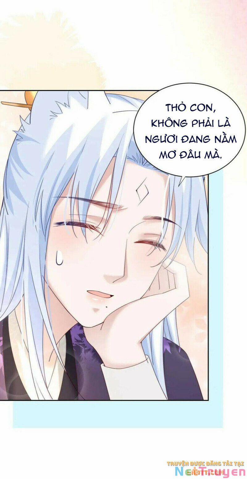 Nuôi Thỏ? Nam Chính Hắc Hóa Rồi! 59 trang 26