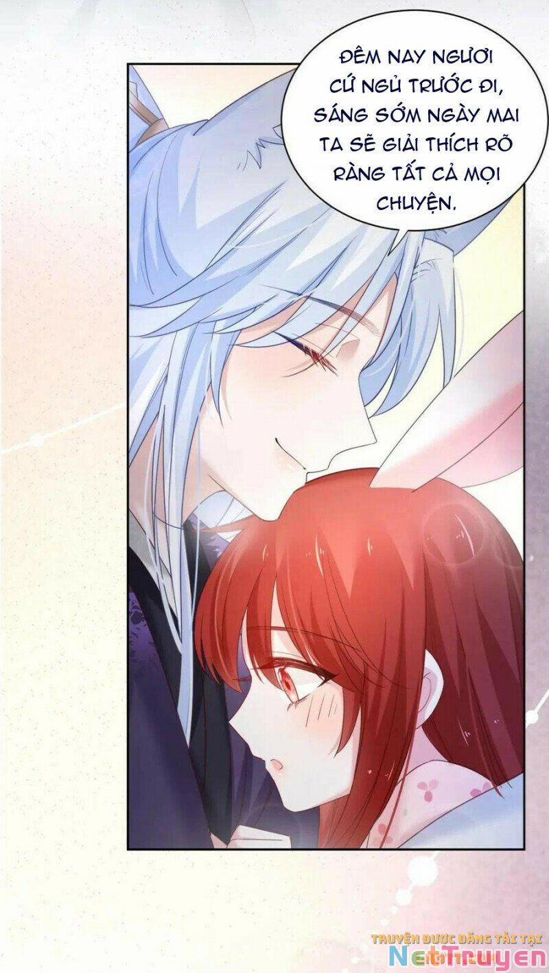 Nuôi Thỏ? Nam Chính Hắc Hóa Rồi! 59 trang 28