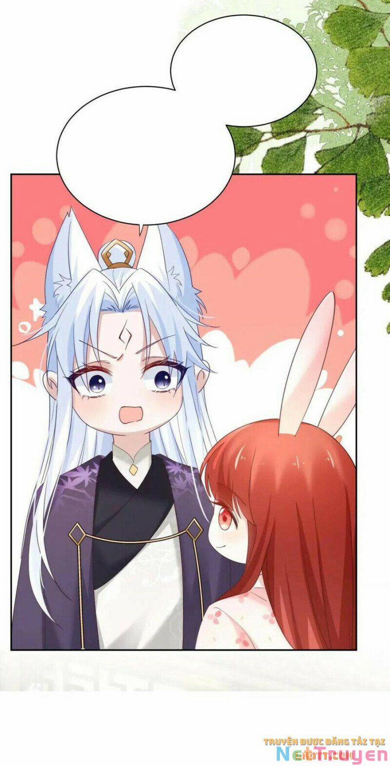 Nuôi Thỏ? Nam Chính Hắc Hóa Rồi! 59 trang 32