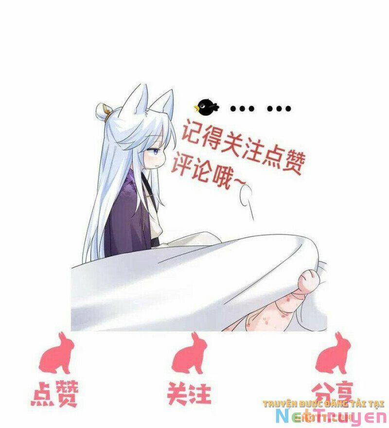 Nuôi Thỏ? Nam Chính Hắc Hóa Rồi! 59 trang 33