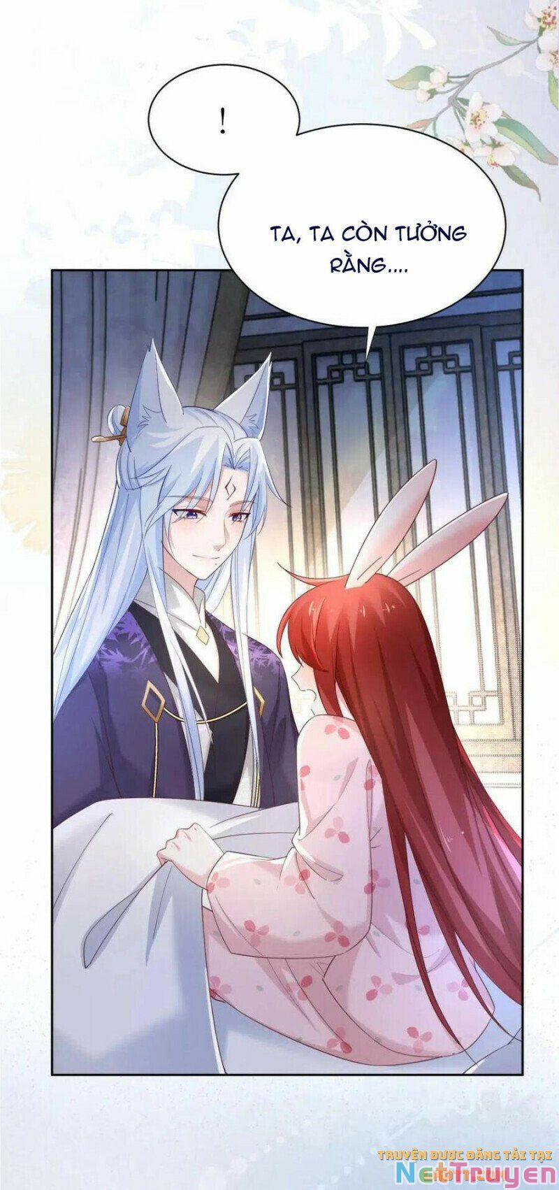 Nuôi Thỏ? Nam Chính Hắc Hóa Rồi! 59 trang 4