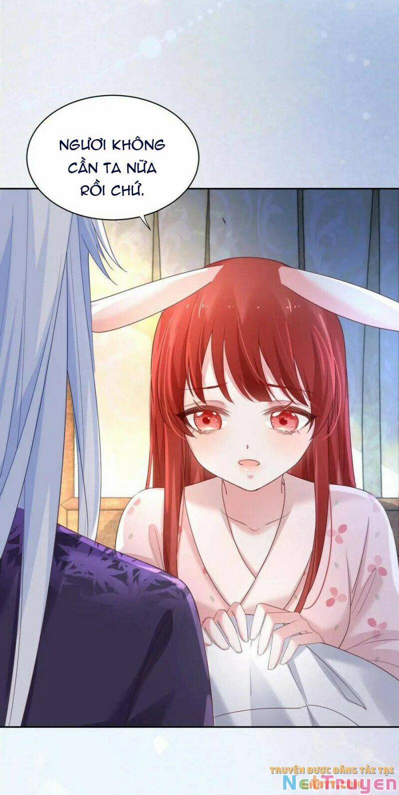 Nuôi Thỏ? Nam Chính Hắc Hóa Rồi! 59 trang 5