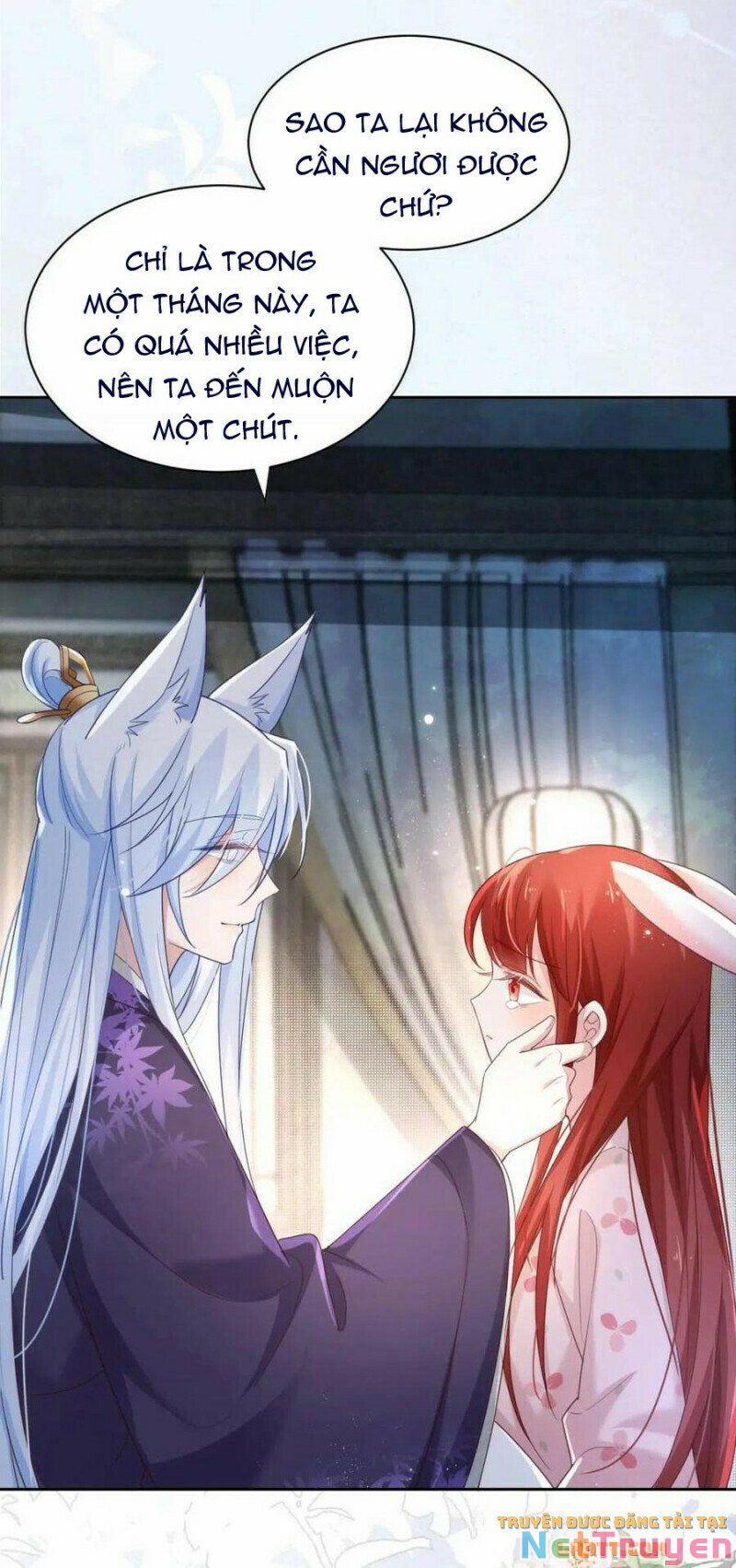 Nuôi Thỏ? Nam Chính Hắc Hóa Rồi! 59 trang 6