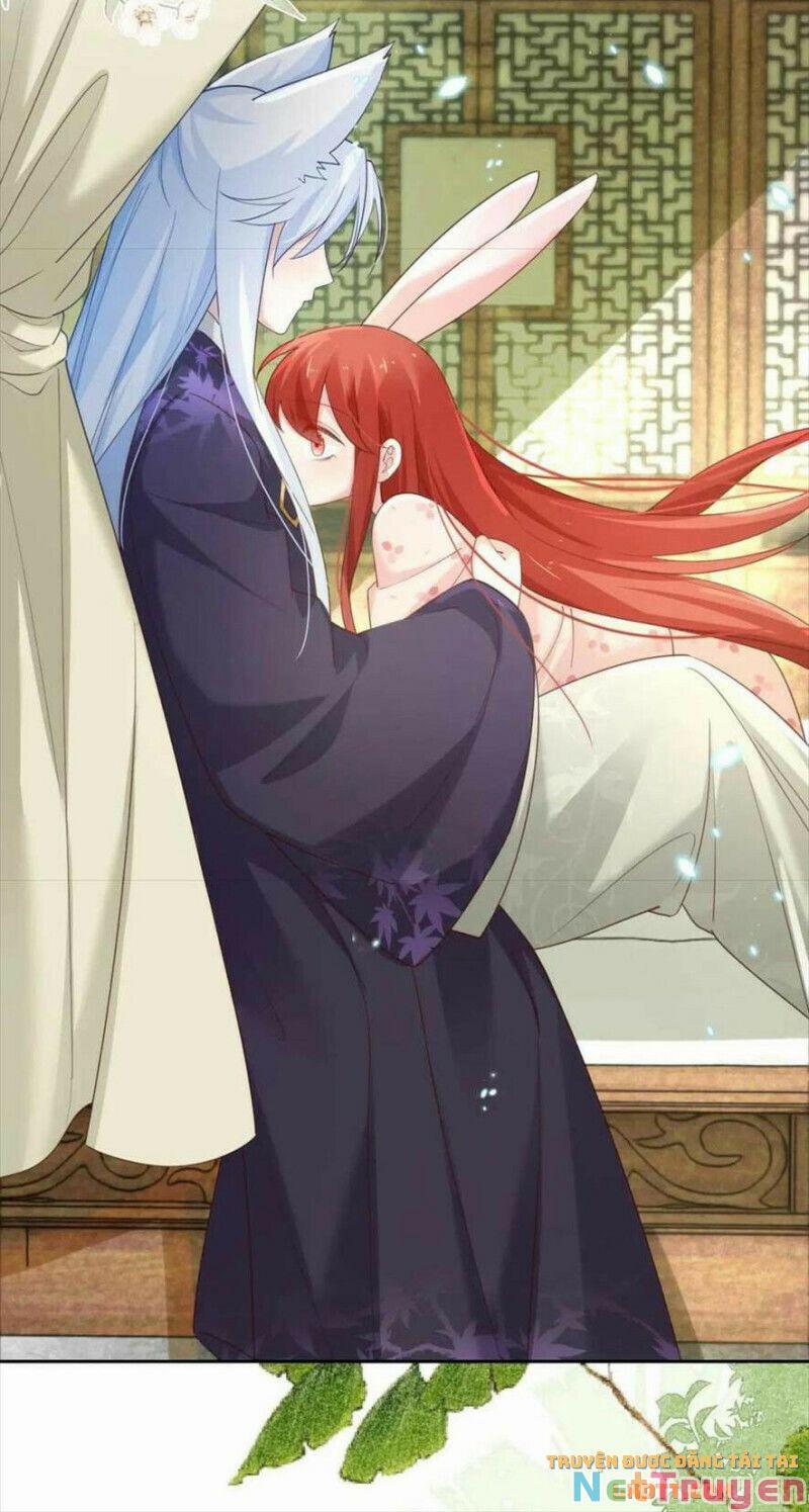 Nuôi Thỏ? Nam Chính Hắc Hóa Rồi! 60 trang 10