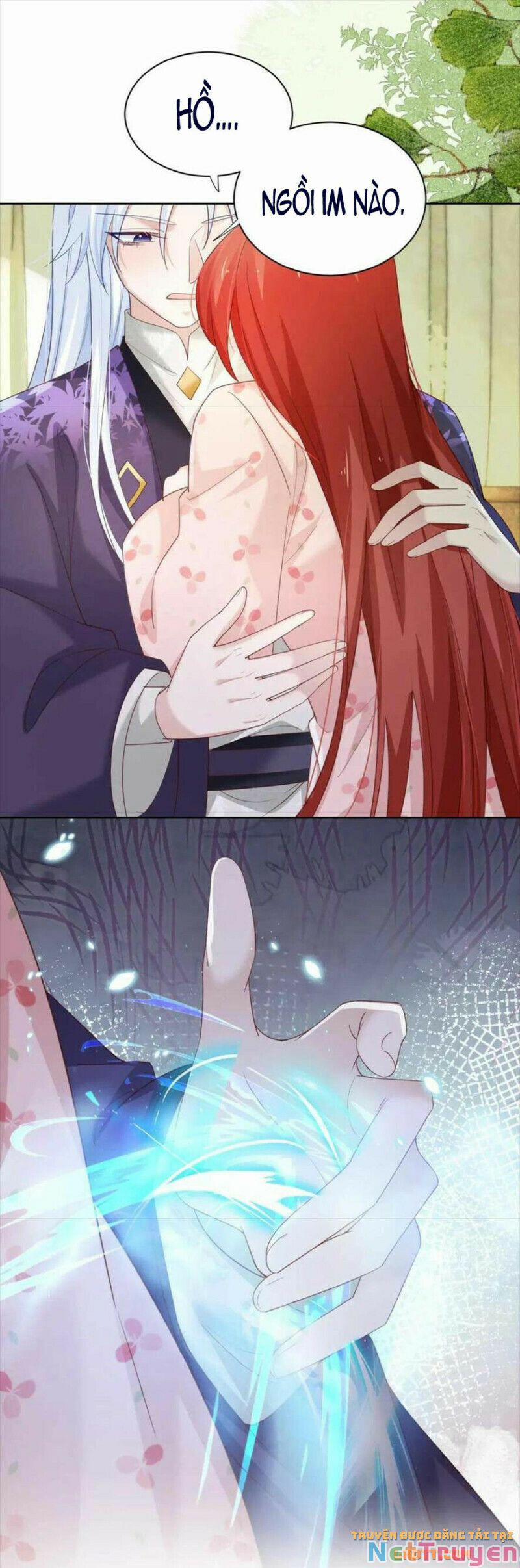 Nuôi Thỏ? Nam Chính Hắc Hóa Rồi! 60 trang 11