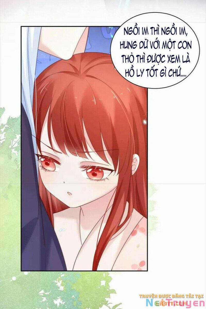 Nuôi Thỏ? Nam Chính Hắc Hóa Rồi! 60 trang 12