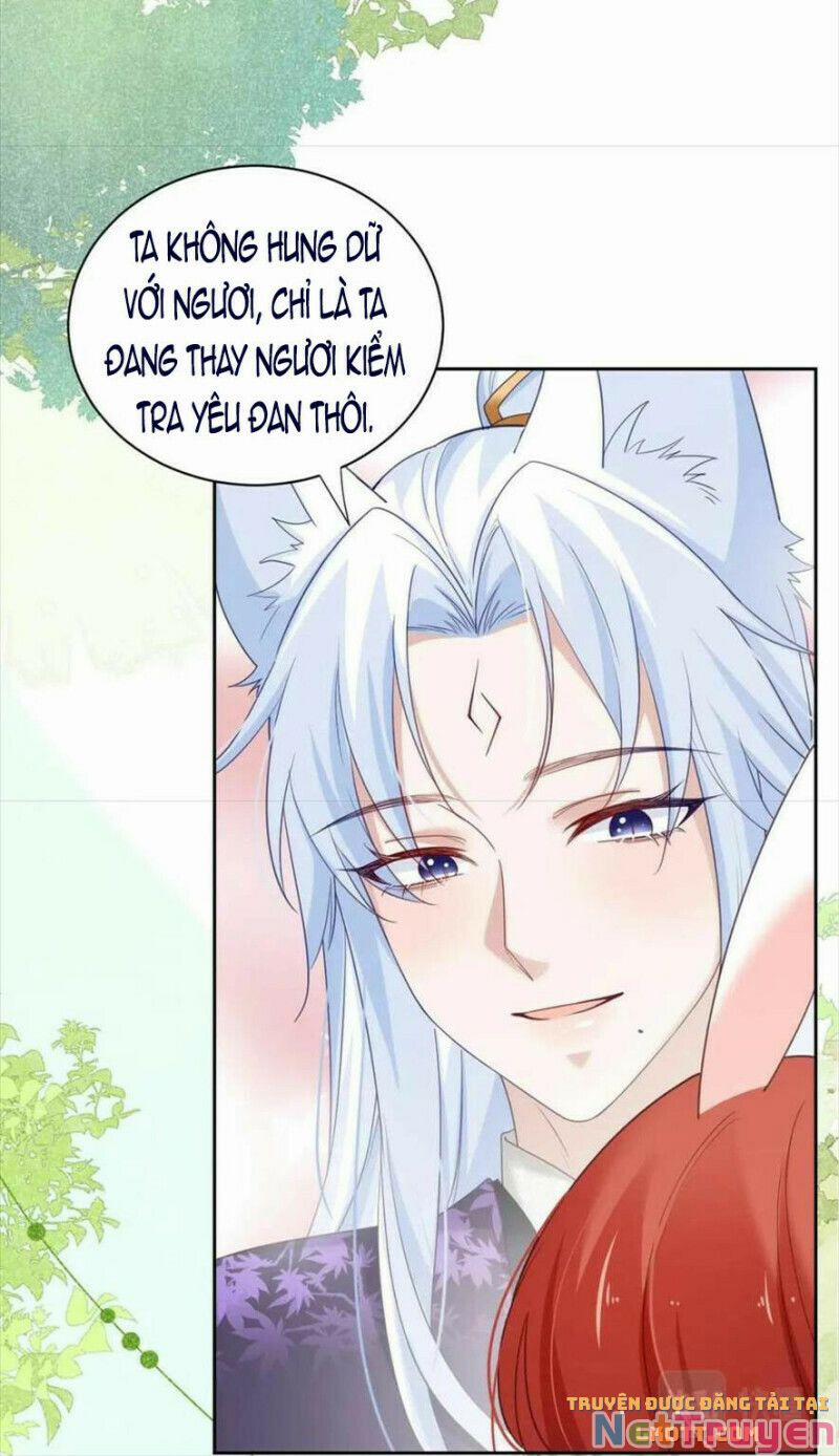 Nuôi Thỏ? Nam Chính Hắc Hóa Rồi! 60 trang 13