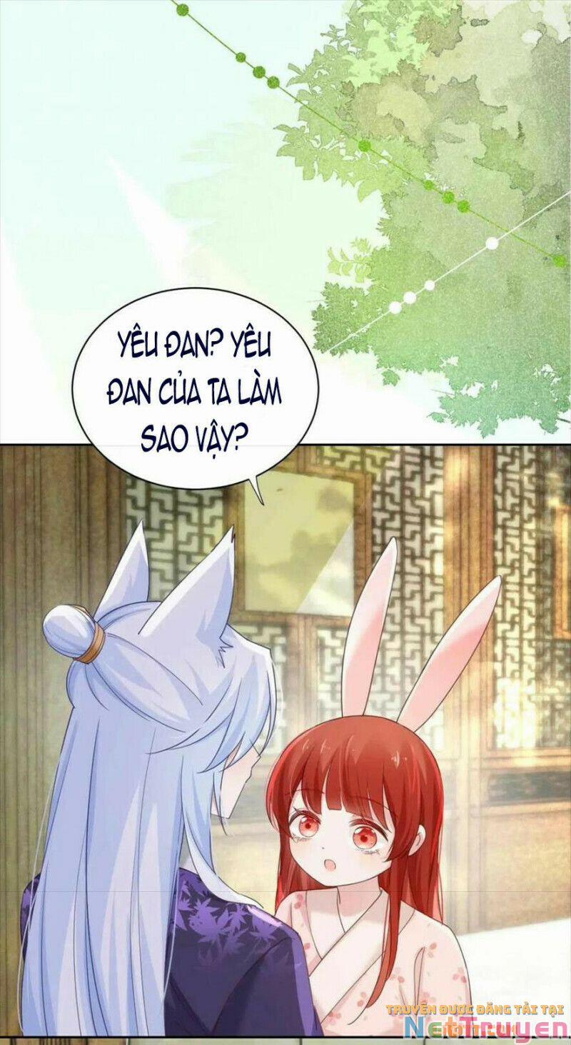 Nuôi Thỏ? Nam Chính Hắc Hóa Rồi! 60 trang 14
