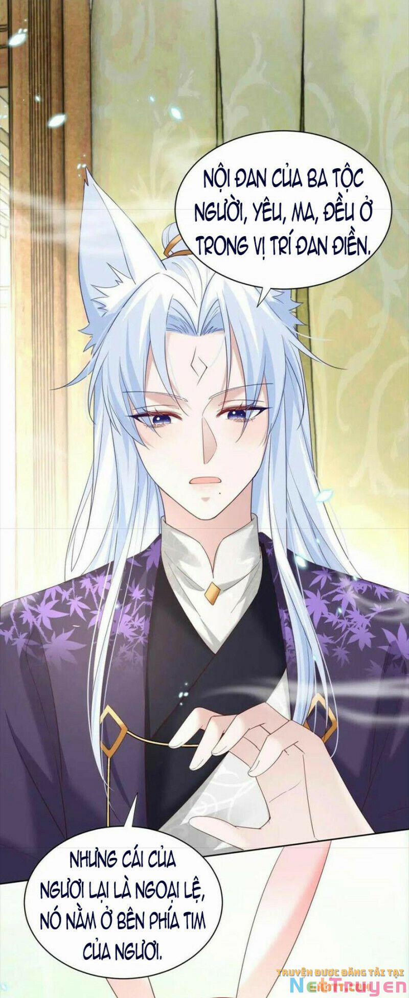 Nuôi Thỏ? Nam Chính Hắc Hóa Rồi! 60 trang 15