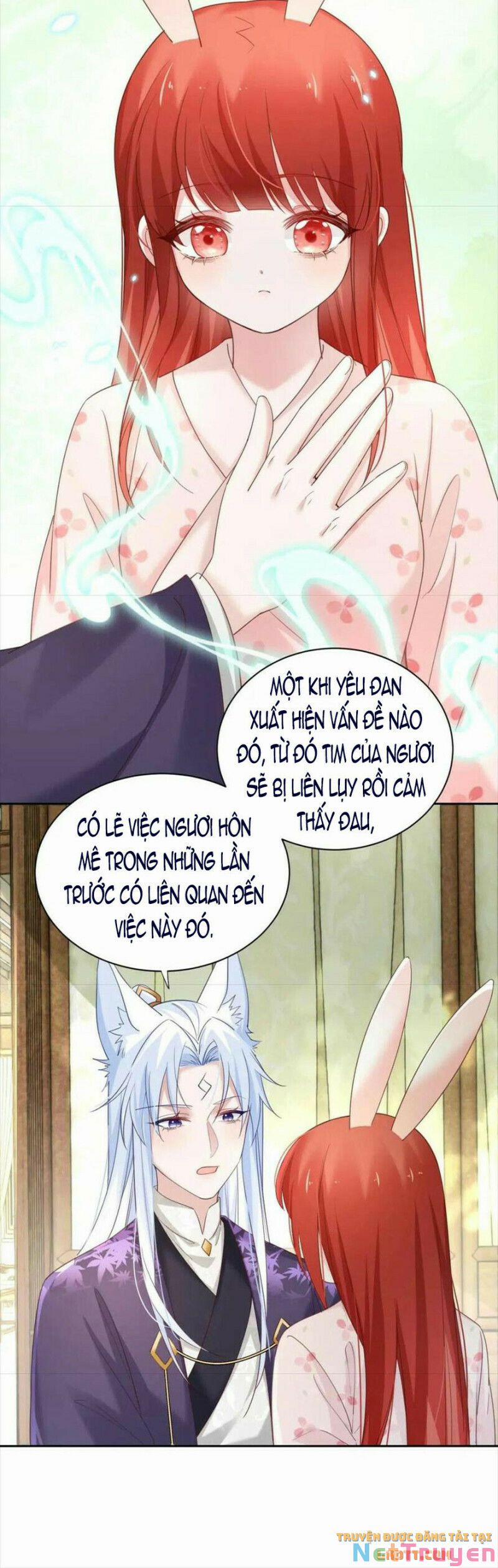 Nuôi Thỏ? Nam Chính Hắc Hóa Rồi! 60 trang 16