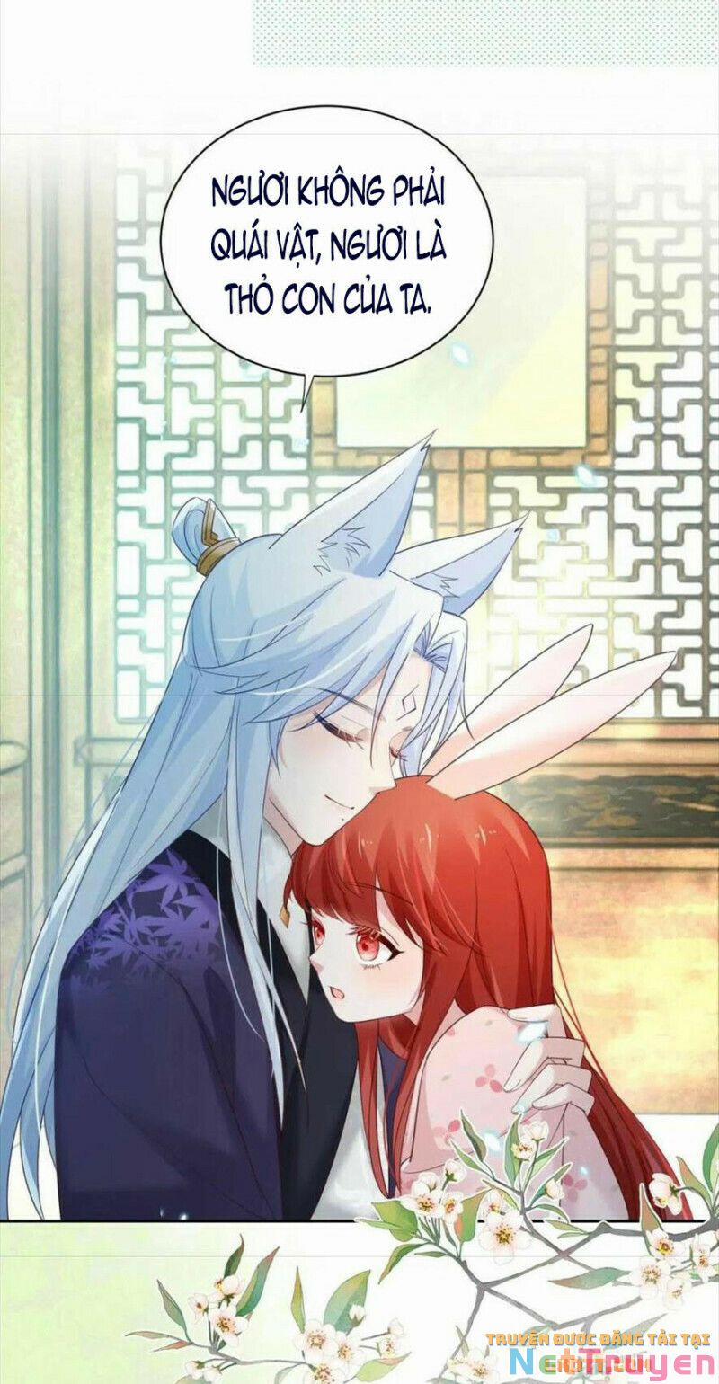 Nuôi Thỏ? Nam Chính Hắc Hóa Rồi! 60 trang 18