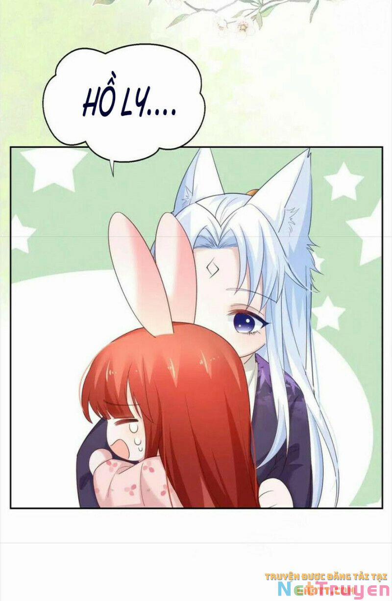 Nuôi Thỏ? Nam Chính Hắc Hóa Rồi! 60 trang 19