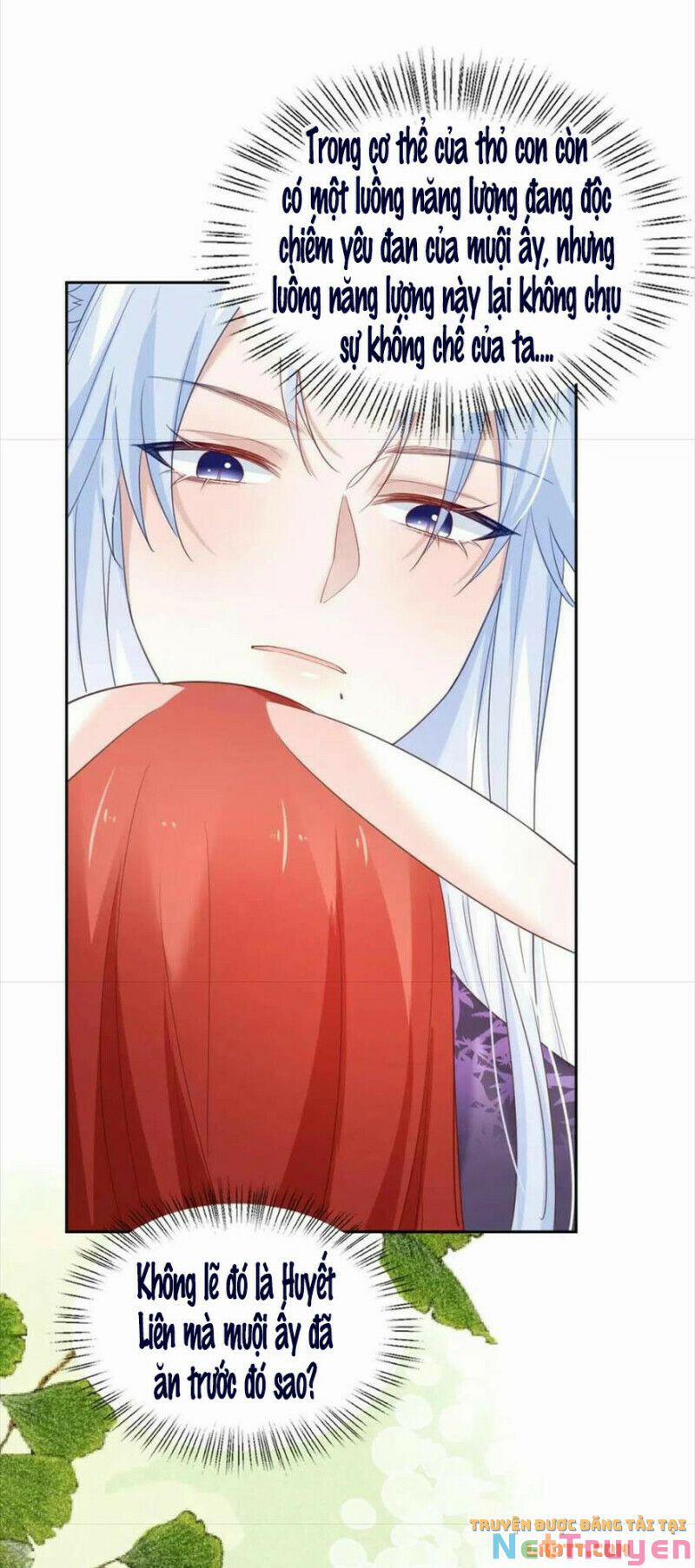 Nuôi Thỏ? Nam Chính Hắc Hóa Rồi! 60 trang 20