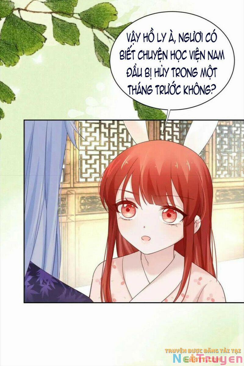 Nuôi Thỏ? Nam Chính Hắc Hóa Rồi! 60 trang 21