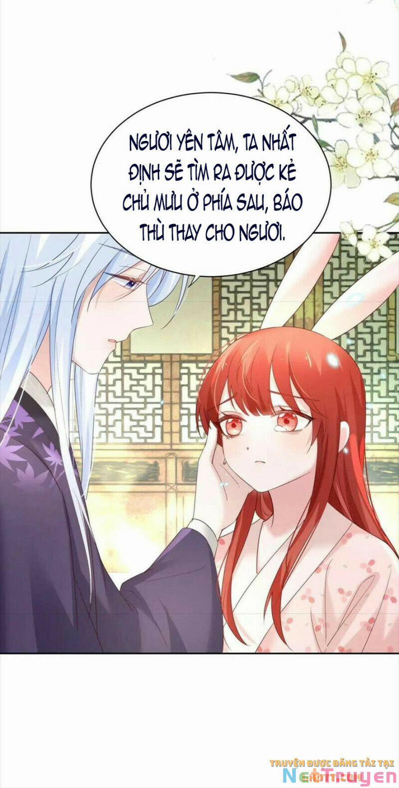 Nuôi Thỏ? Nam Chính Hắc Hóa Rồi! 60 trang 24