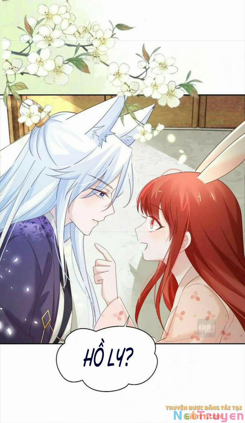 Nuôi Thỏ? Nam Chính Hắc Hóa Rồi! 60 trang 3