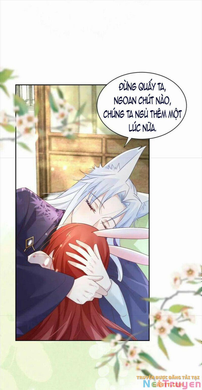 Nuôi Thỏ? Nam Chính Hắc Hóa Rồi! 60 trang 4