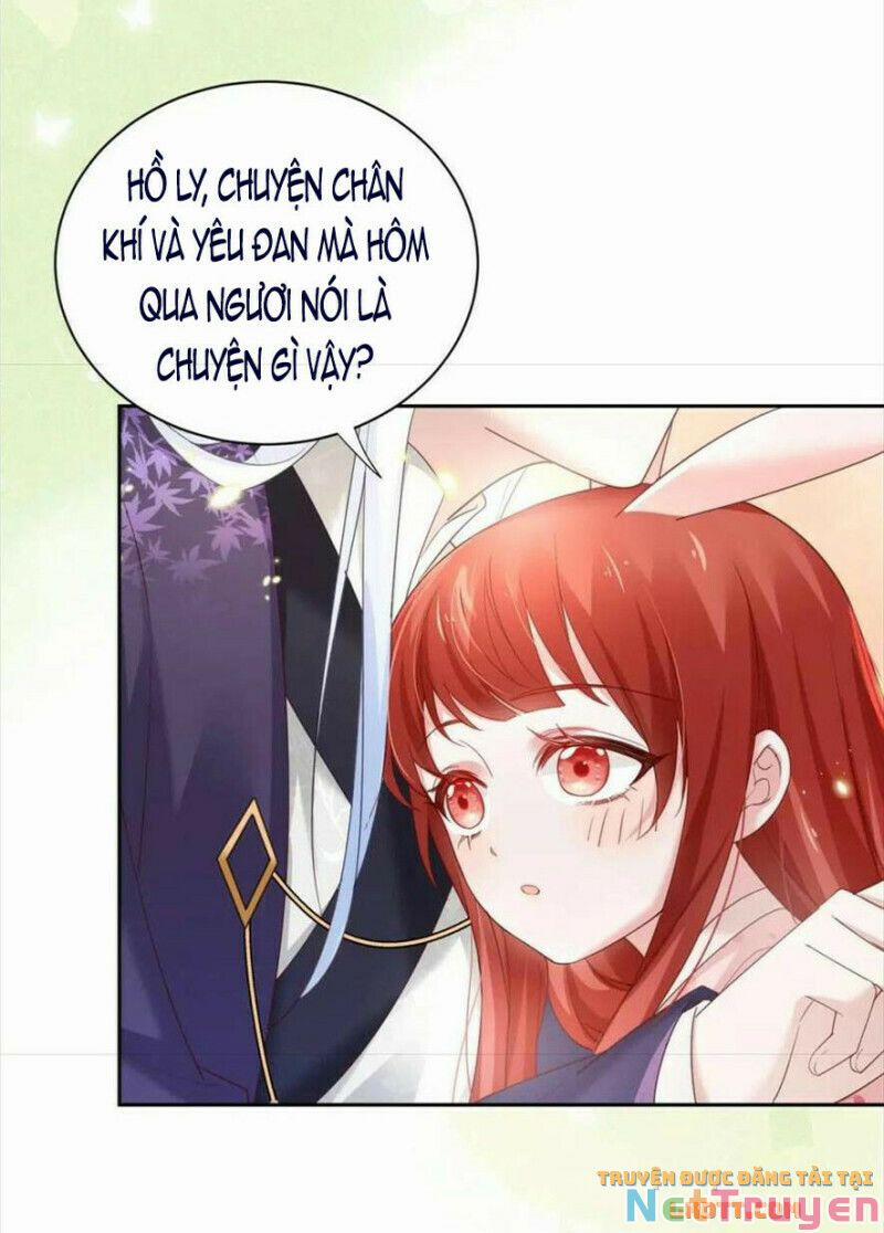 Nuôi Thỏ? Nam Chính Hắc Hóa Rồi! 60 trang 5