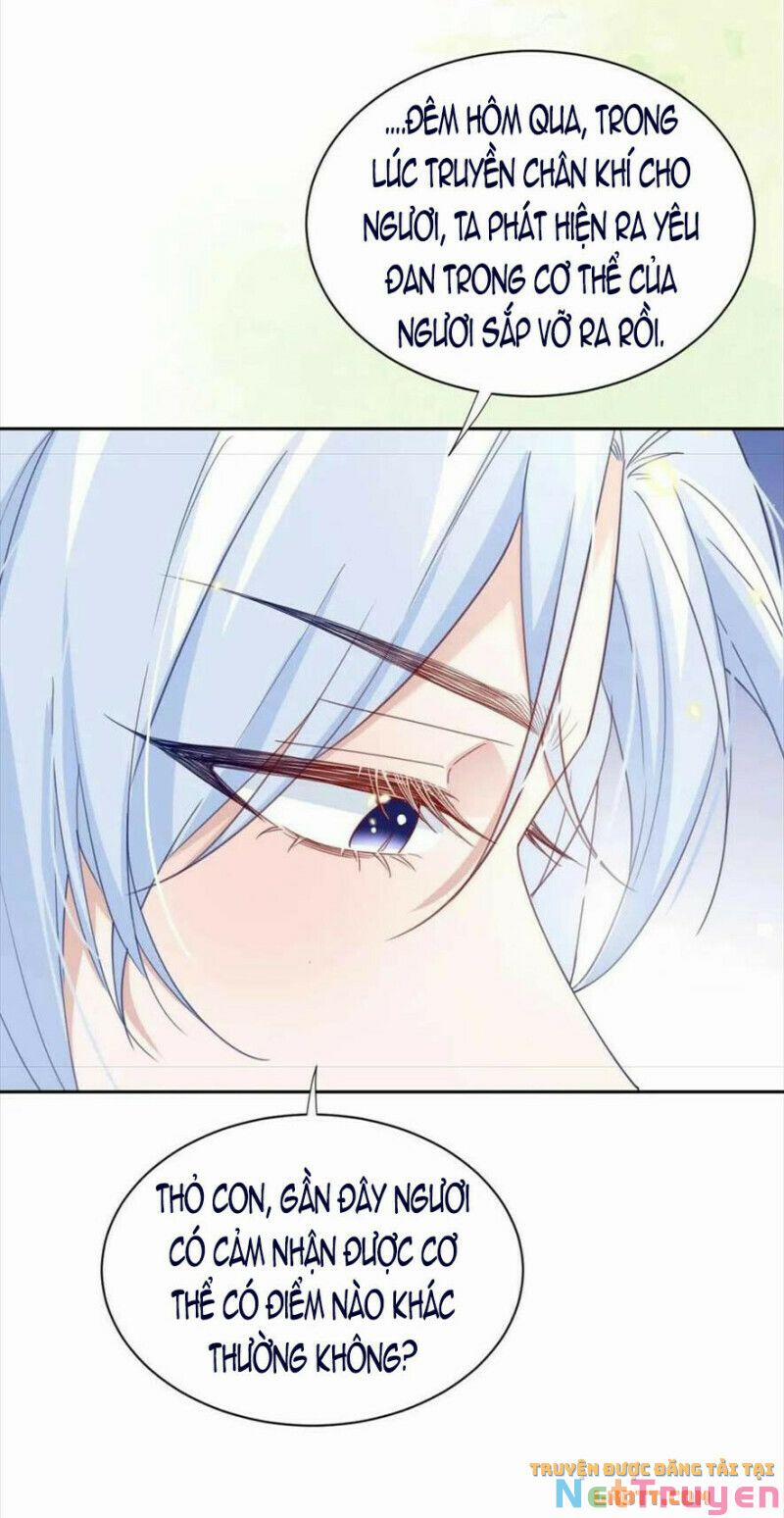 Nuôi Thỏ? Nam Chính Hắc Hóa Rồi! 60 trang 6