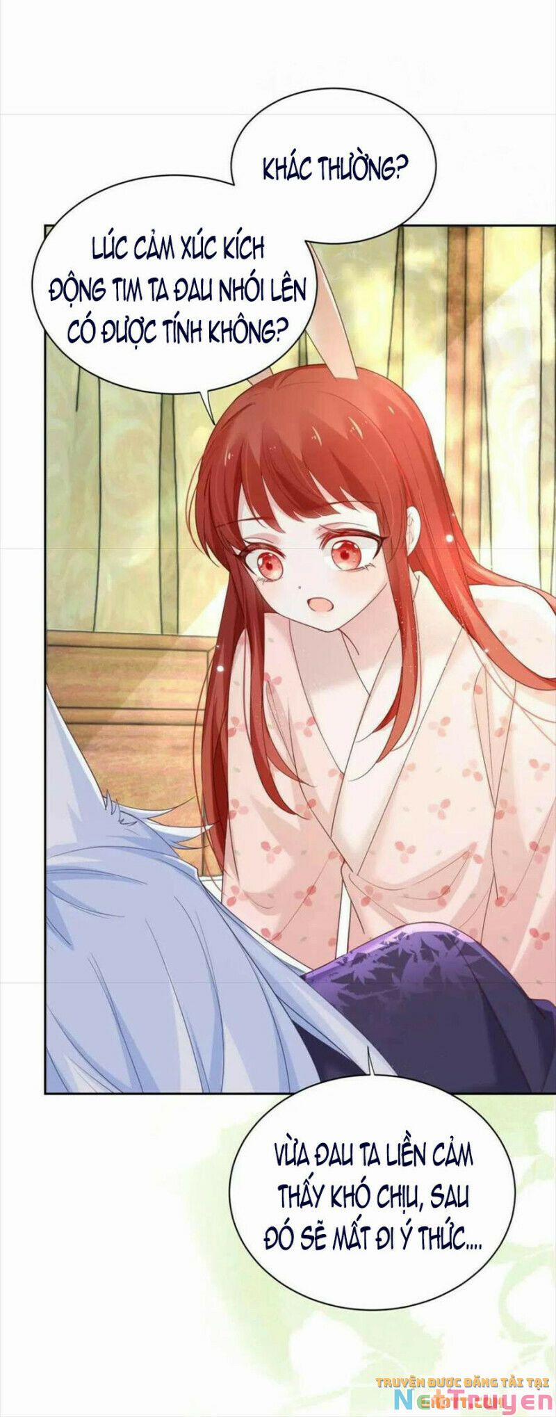 Nuôi Thỏ? Nam Chính Hắc Hóa Rồi! 60 trang 7