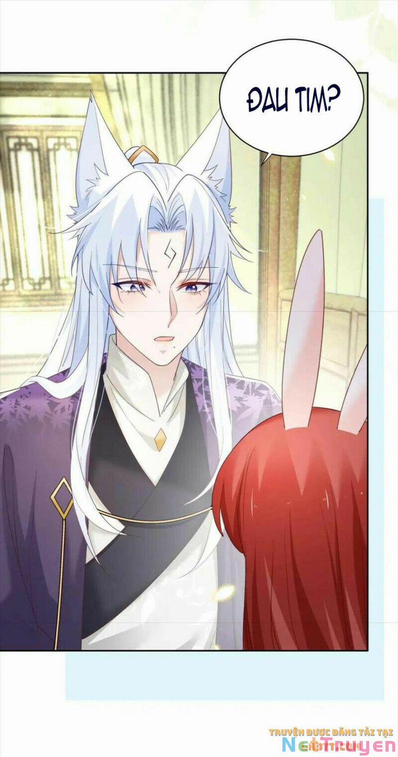 Nuôi Thỏ? Nam Chính Hắc Hóa Rồi! 60 trang 8