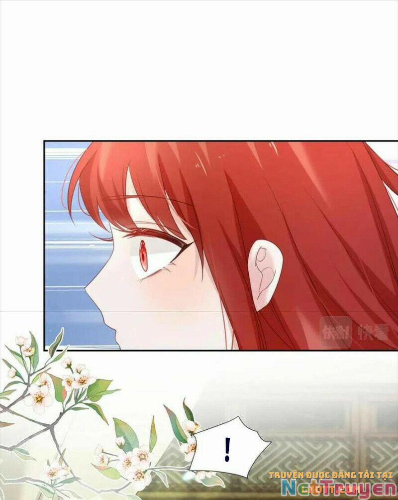 Nuôi Thỏ? Nam Chính Hắc Hóa Rồi! 60 trang 9