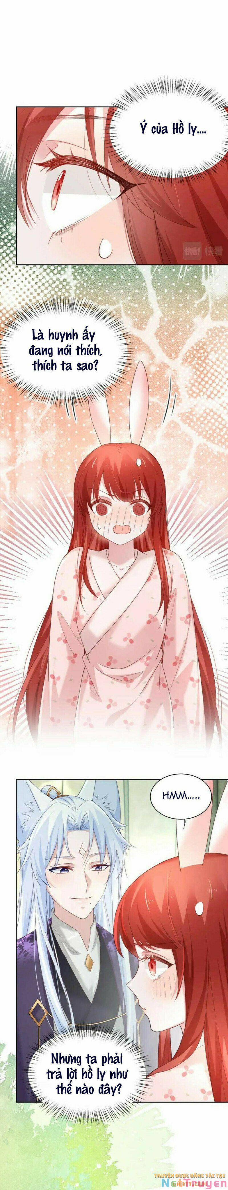 Nuôi Thỏ? Nam Chính Hắc Hóa Rồi! 61 trang 1