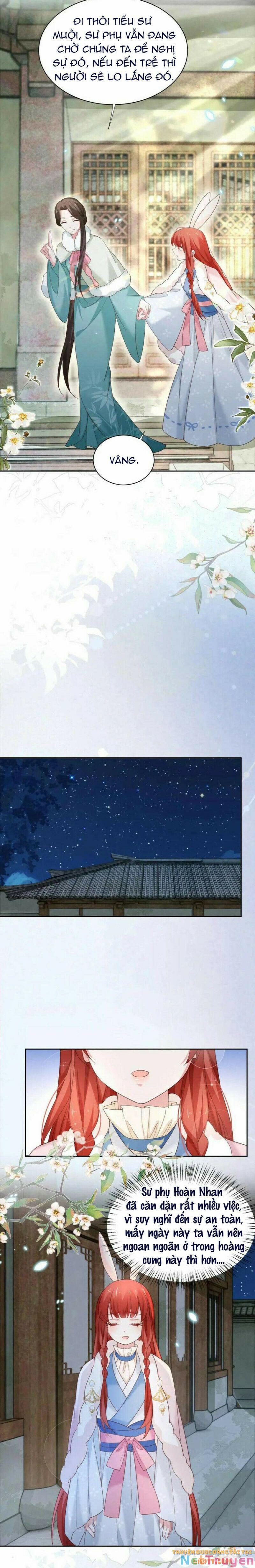 Nuôi Thỏ? Nam Chính Hắc Hóa Rồi! 61 trang 10