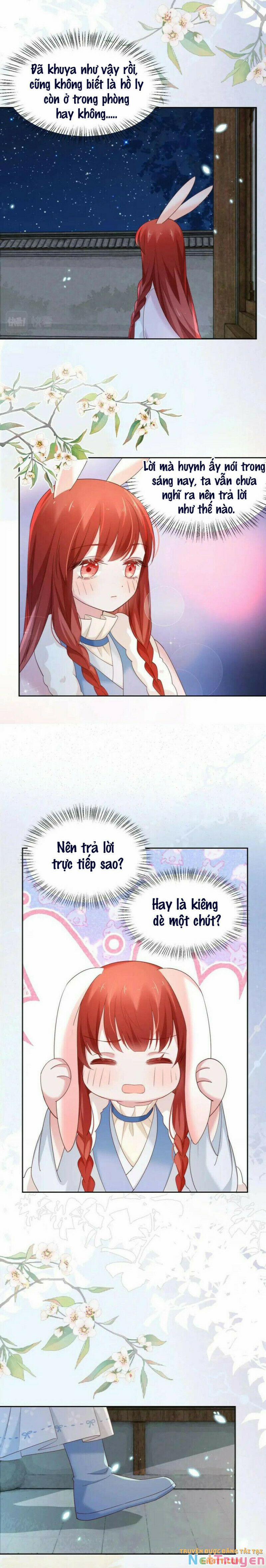 Nuôi Thỏ? Nam Chính Hắc Hóa Rồi! 61 trang 11