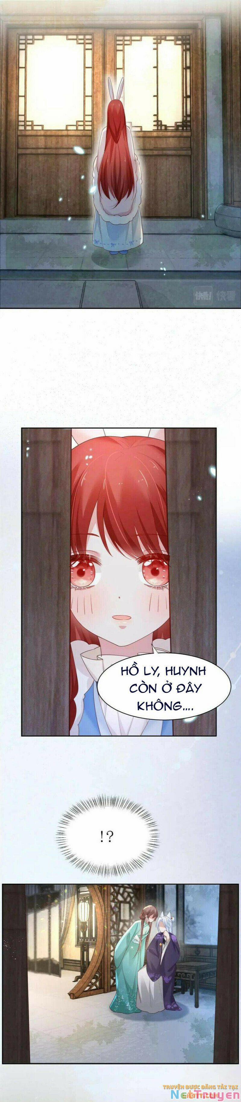 Nuôi Thỏ? Nam Chính Hắc Hóa Rồi! 61 trang 12