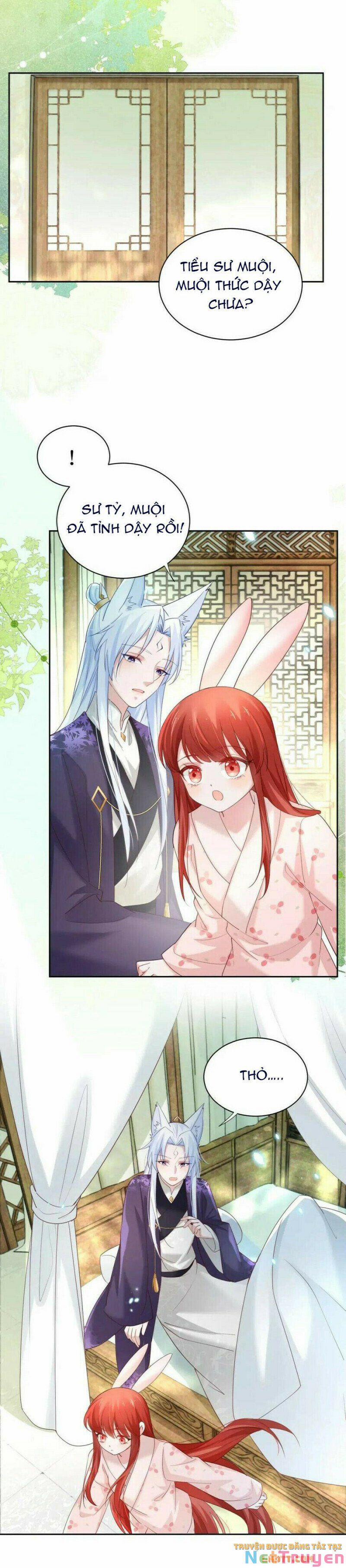 Nuôi Thỏ? Nam Chính Hắc Hóa Rồi! 61 trang 2