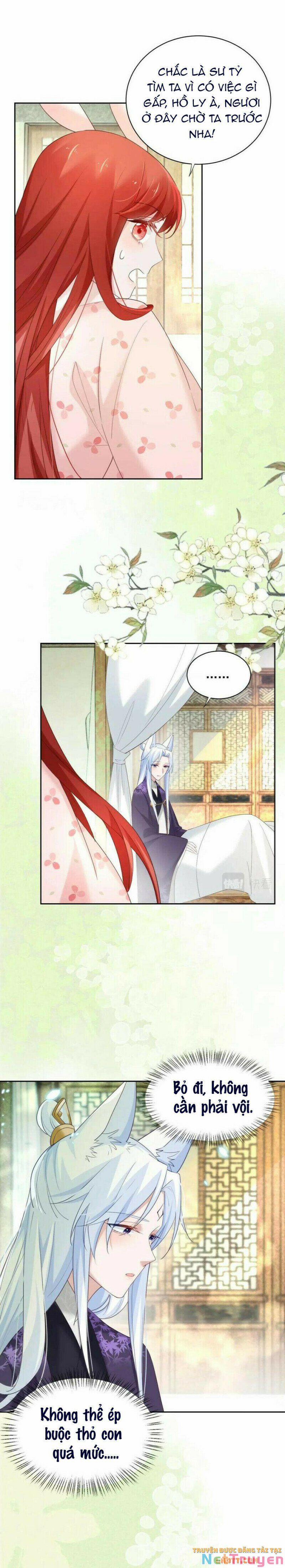 Nuôi Thỏ? Nam Chính Hắc Hóa Rồi! 61 trang 3