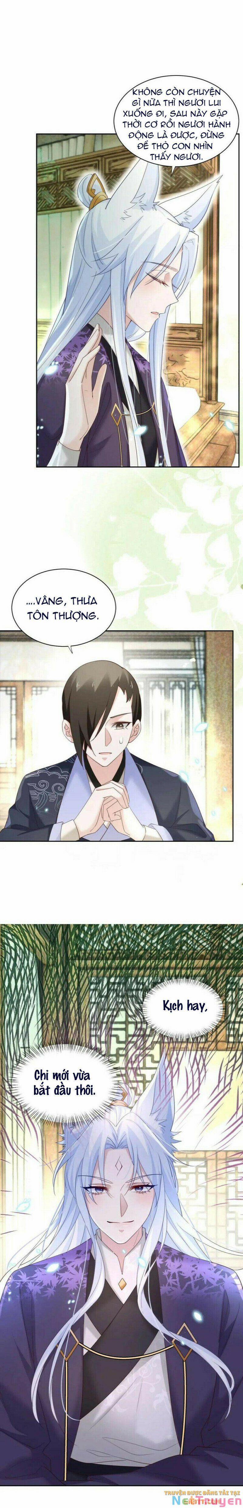 Nuôi Thỏ? Nam Chính Hắc Hóa Rồi! 61 trang 5