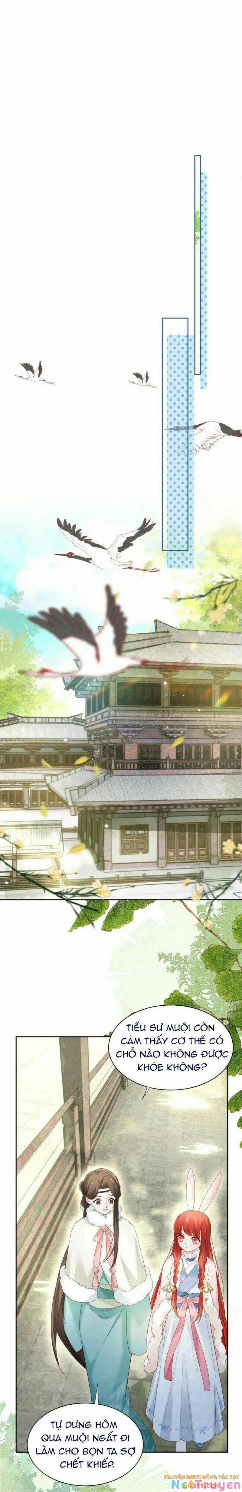 Nuôi Thỏ? Nam Chính Hắc Hóa Rồi! 61 trang 6