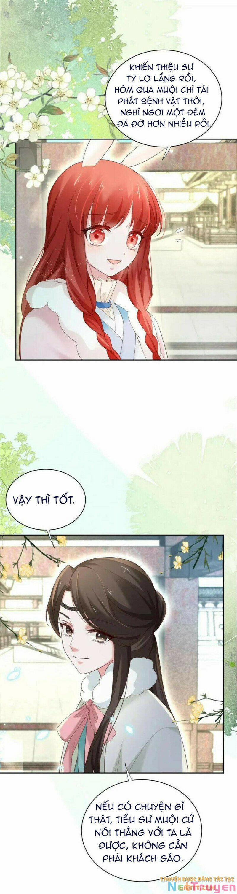 Nuôi Thỏ? Nam Chính Hắc Hóa Rồi! 61 trang 7