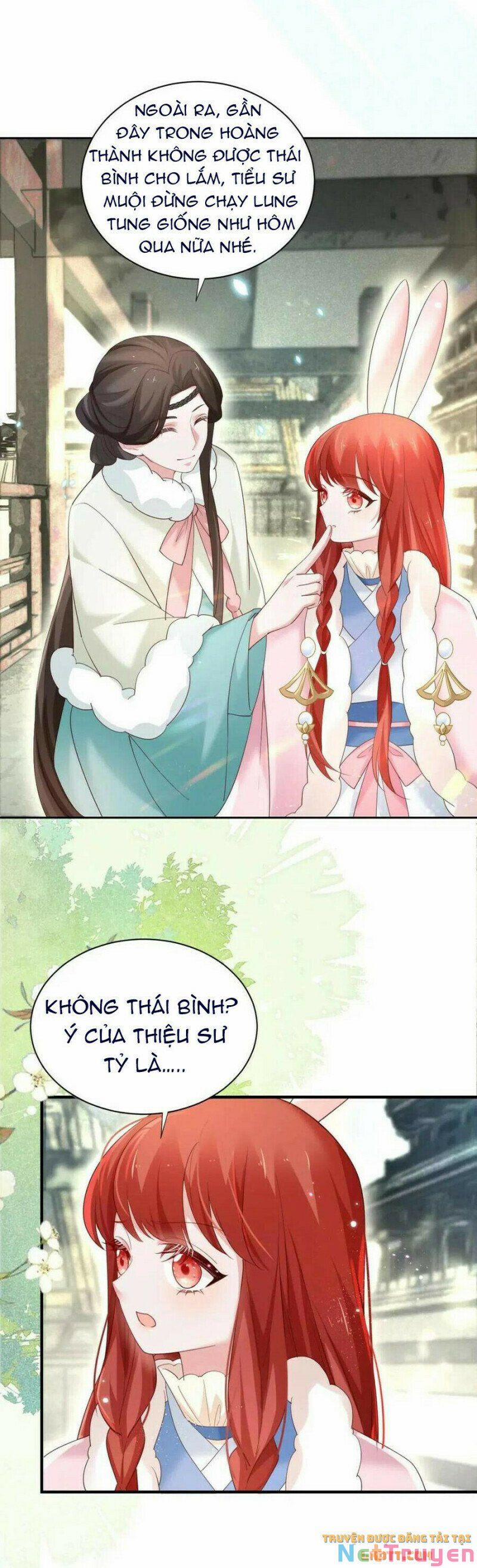 Nuôi Thỏ? Nam Chính Hắc Hóa Rồi! 61 trang 8