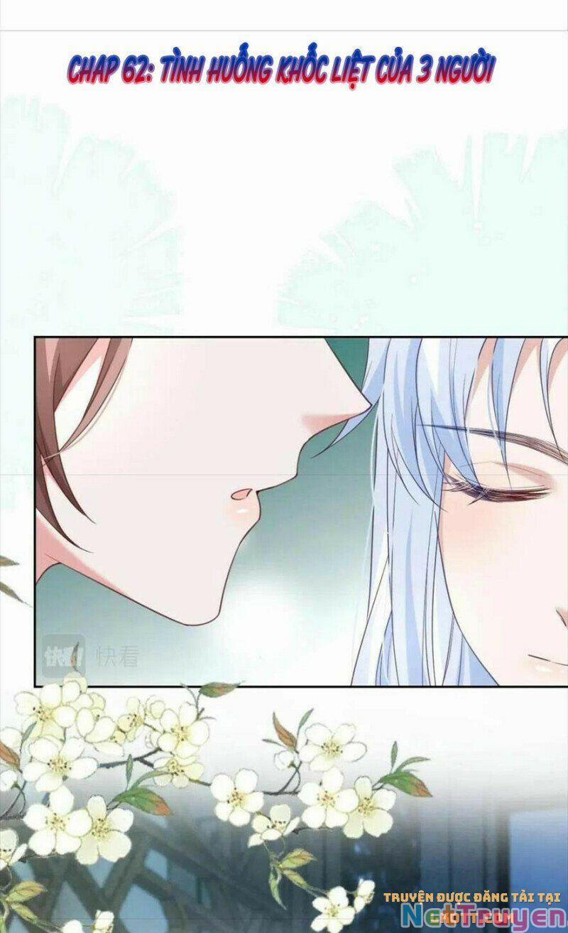 Nuôi Thỏ? Nam Chính Hắc Hóa Rồi! 62 trang 1