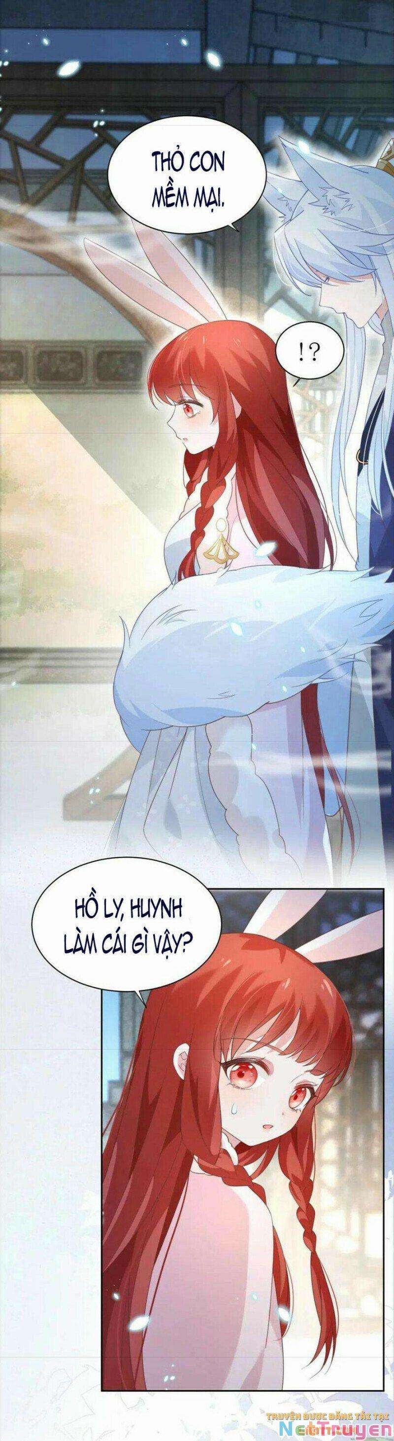 Nuôi Thỏ? Nam Chính Hắc Hóa Rồi! 62 trang 19