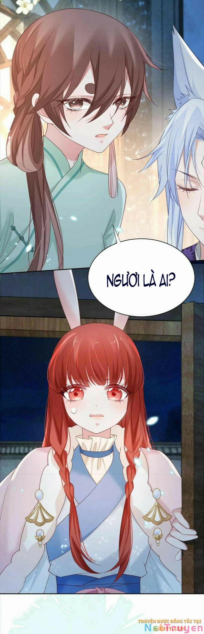 Nuôi Thỏ? Nam Chính Hắc Hóa Rồi! 62 trang 2