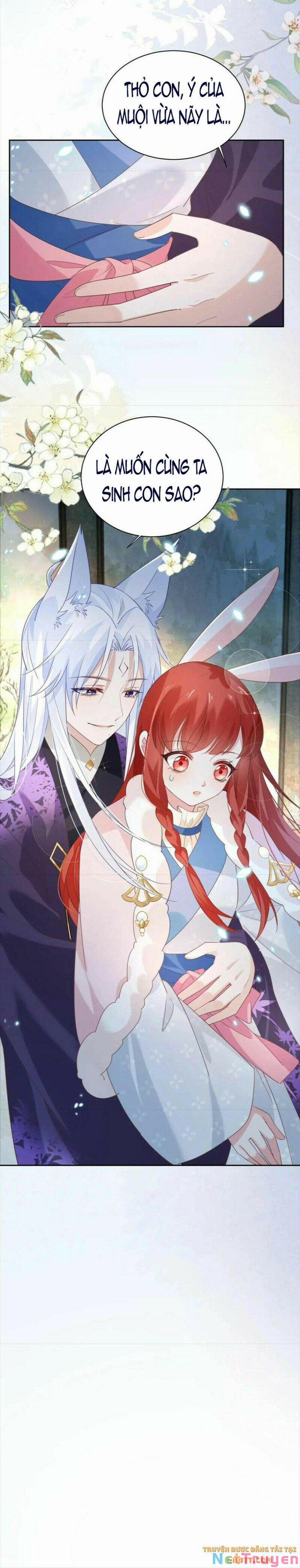 Nuôi Thỏ? Nam Chính Hắc Hóa Rồi! 62 trang 20