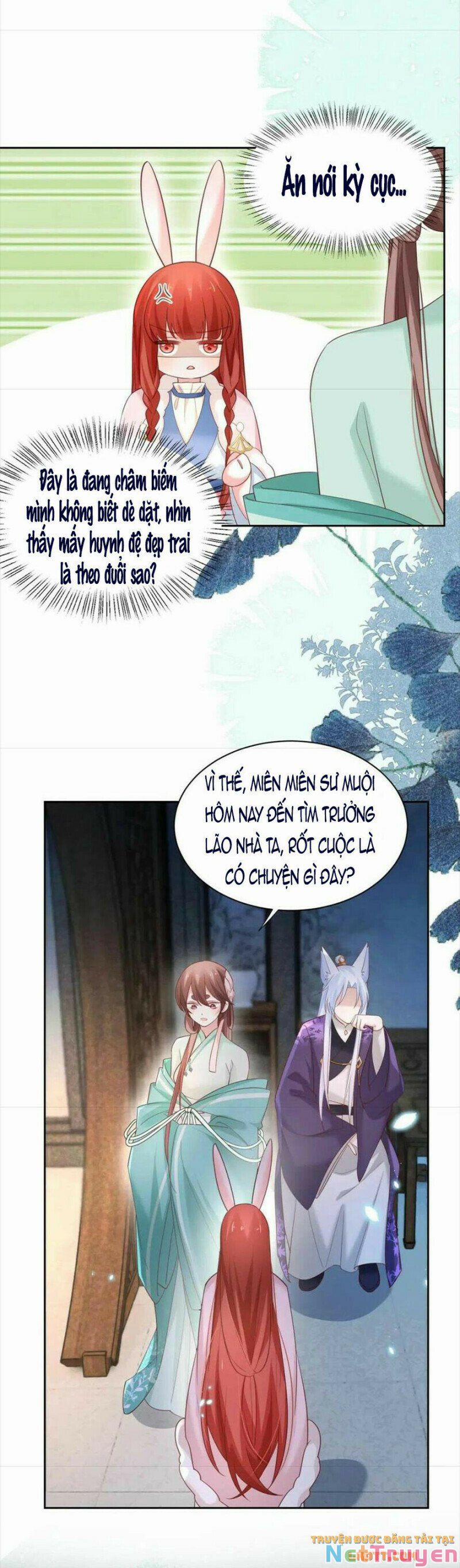 Nuôi Thỏ? Nam Chính Hắc Hóa Rồi! 62 trang 8