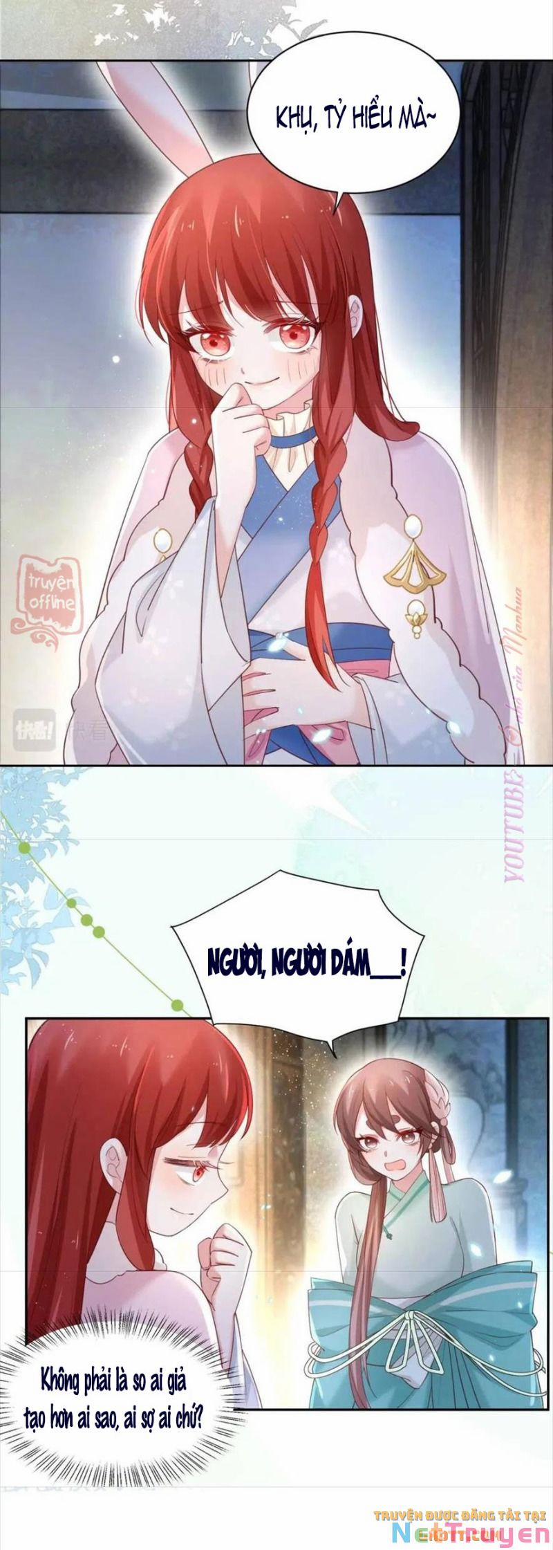 Nuôi Thỏ? Nam Chính Hắc Hóa Rồi! 63 trang 12