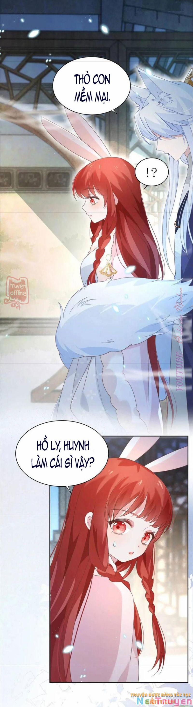 Nuôi Thỏ? Nam Chính Hắc Hóa Rồi! 63 trang 19