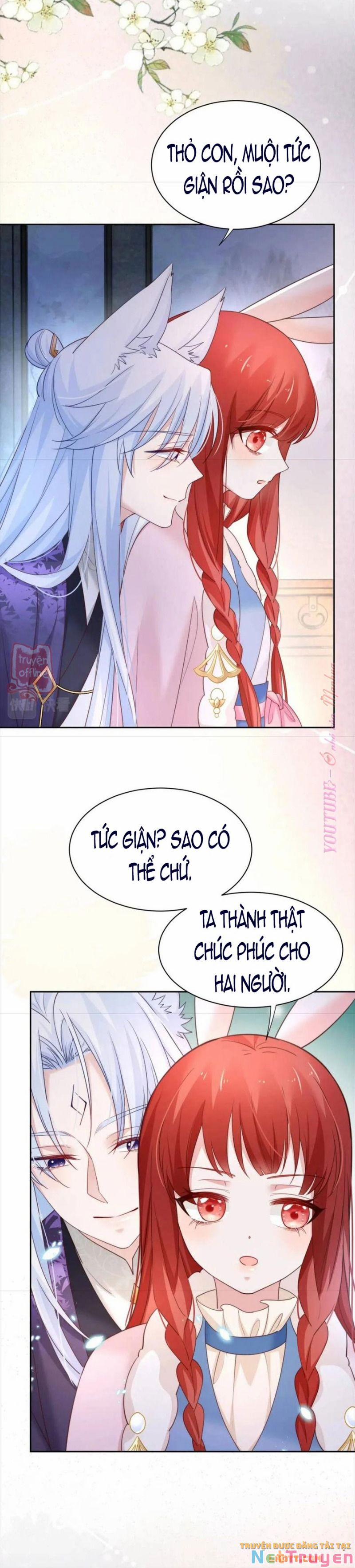 Nuôi Thỏ? Nam Chính Hắc Hóa Rồi! 63 trang 23