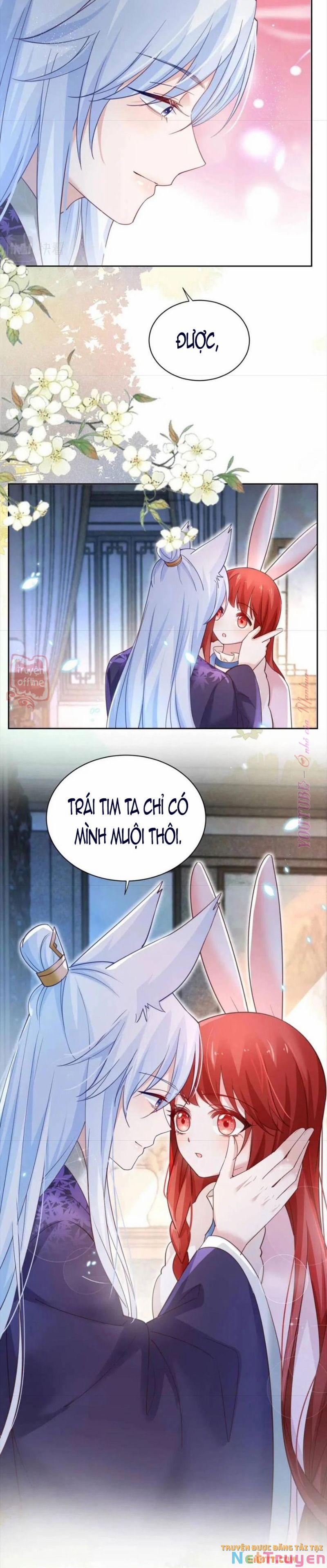 Nuôi Thỏ? Nam Chính Hắc Hóa Rồi! 63 trang 28